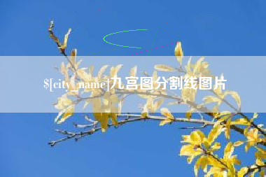 大悟九宫图分割线图片