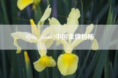 大悟中国金牌包括