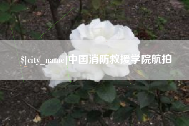 大悟中国消防救援学院航拍