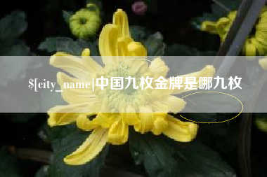 大悟中国九枚金牌是哪九枚