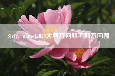 大悟2025大利方向和不利方向图