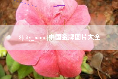 大悟中国金牌图片大全
