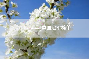 大悟中国冠军榜单