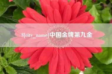 大悟中国金牌第九金