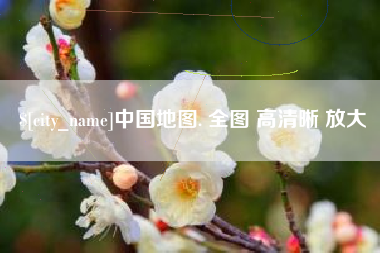 大悟中国地图. 全图 高清晰 放大