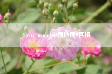 大悟中国地图9宫格