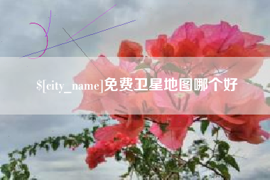 大悟免费卫星地图哪个好