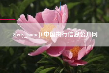 大悟1.中国执行信息公开网