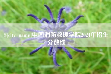大悟中国消防救援学院2024年招生分数线