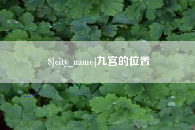 大悟九宫的位置