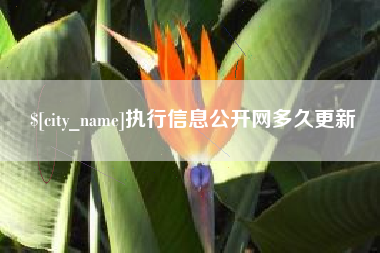 大悟执行信息公开网多久更新