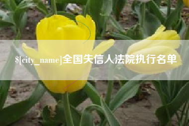 大悟全国失信人法院执行名单