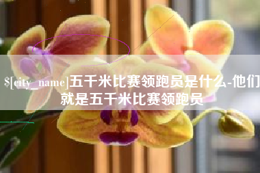 大悟五千米比赛领跑员是什么-他们就是五千米比赛领跑员