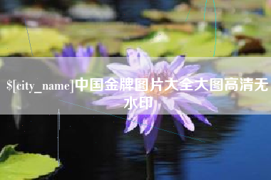 大悟中国金牌图片大全大图高清无水印