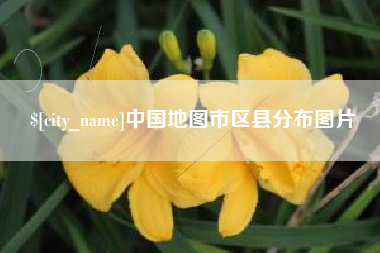大悟中国地图市区县分布图片