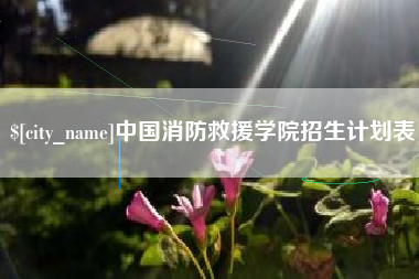 大悟中国消防救援学院招生计划表