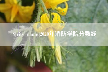大悟2020年消防学院分数线