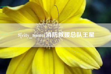 大悟消防救援总队王星