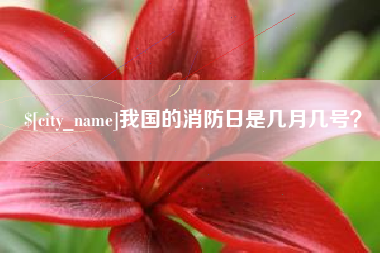 大悟我国的消防日是几月几号？
