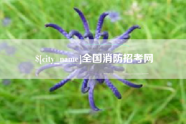 大悟全国消防招考网