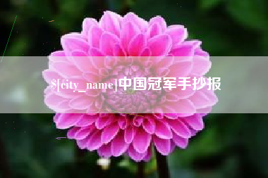 大悟中国冠军手抄报