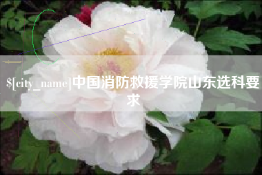 大悟中国消防救援学院山东选科要求