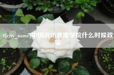 大悟中国消防救援学院什么时候政审
