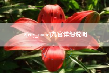 大悟九宫详细说明