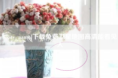 大悟下载免费卫星地图高清能看见人