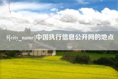 大悟中国执行信息公开网的地点