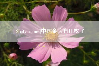 大悟中国金牌有几枚了