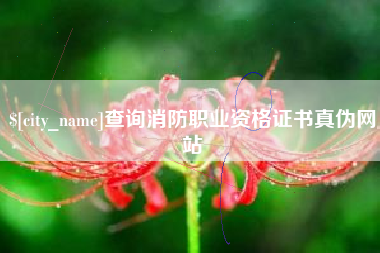 大悟查询消防职业资格证书真伪网站