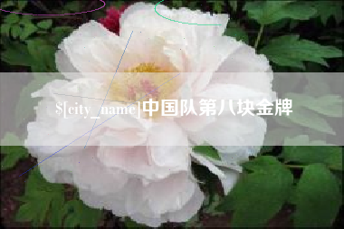 大悟中国队第八块金牌