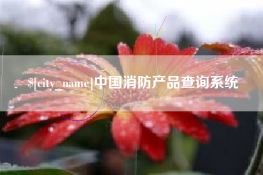 大悟中国消防产品查询系统