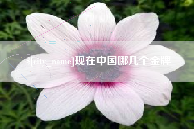 大悟现在中国哪几个金牌