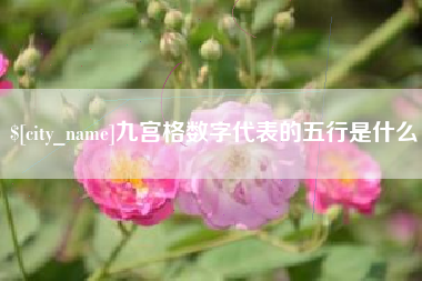 大悟九宫格数字代表的五行是什么