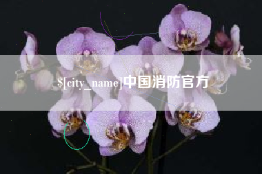 大悟中国消防官方