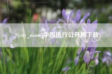 大悟中国执行公开网下载