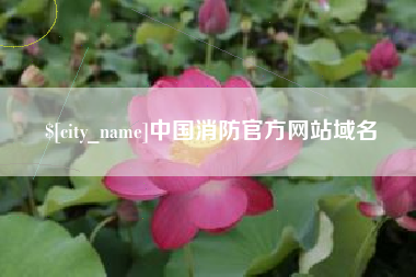 大悟中国消防官方网站域名
