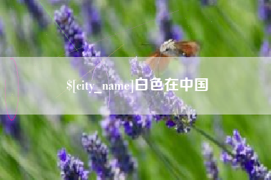 大悟白色在中国