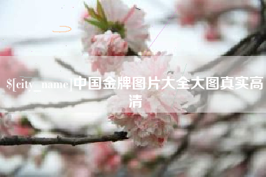 大悟中国金牌图片大全大图真实高清