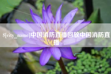 大悟中国消防直播回放中国消防直播