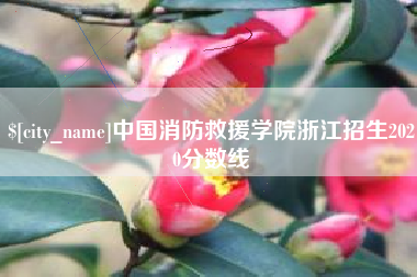大悟中国消防救援学院浙江招生2020分数线