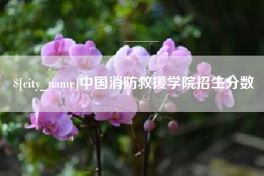 大悟中国消防救援学院招生分数