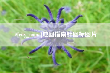 大悟地图指南针图标图片