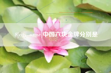 大悟中国六块金牌分别是