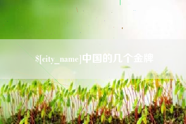 大悟中国的几个金牌