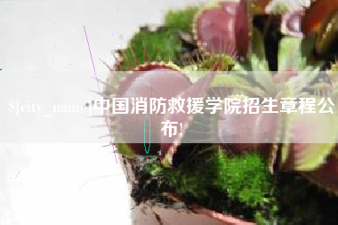 大悟中国消防救援学院招生章程公布!