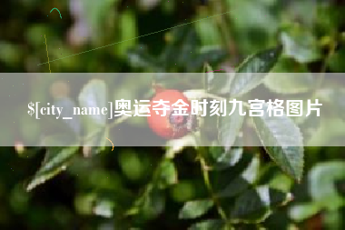 大悟奥运夺金时刻九宫格图片