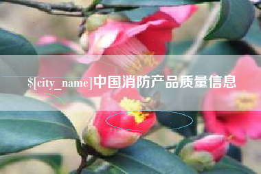 大悟中国消防产品质量信息